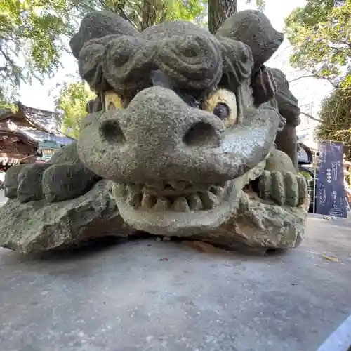 田無神社の狛犬