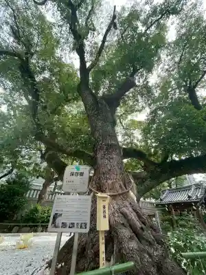 難波神社の{uncategorized: "未分類", other: "その他", undefined: "問題あり", building: "その他建物", grave: "お墓", sacred_gate: "鳥居", guardian: "狛犬", statue: "像", buddha: "仏像", history: "歴史", nature: "自然", garden: "庭園", animal: "動物", pagoda: "塔", temizu: "手水舎", mountain_gate: "山門・神門", sanctuary: "本殿・本堂", subordinate: "末社・摂社", art: "芸術", scenery: "景色", jizo: "地蔵", ema: "絵馬", goshuin: "御朱印", omikuji: "おみくじ", items: "授与品その他", amulet: "お守り", goshuincho: "御朱印帳", eats: "食事", festival: "お祭り", votive_dance: "神楽", shichigosan: "七五三参", wedding: "結婚式", experience: "体験その他", initially: "初詣", around: "周辺", anti_infection: "感染症対策"}