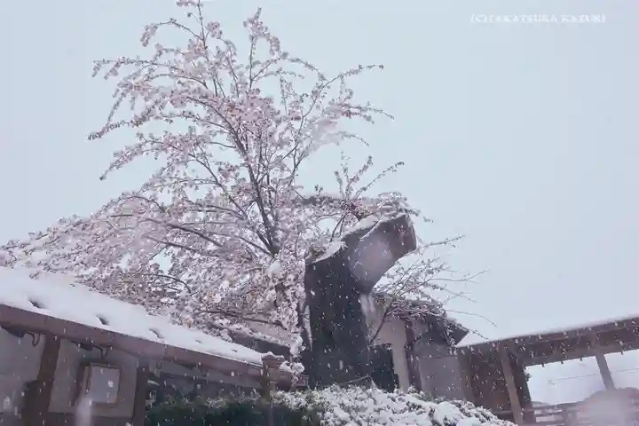 神鳥前川神社の自然