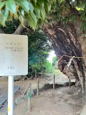 九重神社(埼玉県)