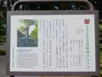 深坂神社の{uncategorized: "未分類", other: "その他", undefined: "問題あり", building: "その他建物", grave: "お墓", sacred_gate: "鳥居", guardian: "狛犬", statue: "像", buddha: "仏像", history: "歴史", nature: "自然", garden: "庭園", animal: "動物", pagoda: "塔", temizu: "手水舎", mountain_gate: "山門・神門", sanctuary: "本殿・本堂", subordinate: "末社・摂社", art: "芸術", scenery: "景色", jizo: "地蔵", ema: "絵馬", goshuin: "御朱印", omikuji: "おみくじ", items: "授与品その他", amulet: "お守り", goshuincho: "御朱印帳", eats: "食事", festival: "お祭り", votive_dance: "神楽", shichigosan: "七五三参", wedding: "結婚式", experience: "体験その他", initially: "初詣", around: "周辺", anti_infection: "感染症対策"}