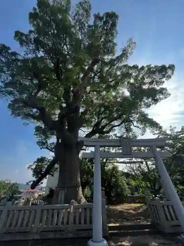 志筑別神社(兵庫県)