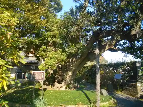 慈眼寺のその他建物