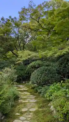 実光院(京都府)