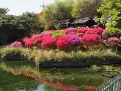 箭弓稲荷神社の庭園