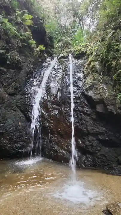 勝光寺の{uncategorized: "未分類", other: "その他", undefined: "問題あり", building: "その他建物", grave: "お墓", sacred_gate: "鳥居", guardian: "狛犬", statue: "像", buddha: "仏像", history: "歴史", nature: "自然", garden: "庭園", animal: "動物", pagoda: "塔", temizu: "手水舎", mountain_gate: "山門・神門", sanctuary: "本殿・本堂", subordinate: "末社・摂社", art: "芸術", scenery: "景色", jizo: "地蔵", ema: "絵馬", goshuin: "御朱印", omikuji: "おみくじ", items: "授与品その他", amulet: "お守り", goshuincho: "御朱印帳", eats: "食事", festival: "お祭り", votive_dance: "神楽", shichigosan: "七五三参", wedding: "結婚式", experience: "体験その他", initially: "初詣", around: "周辺", anti_infection: "感染症対策"}