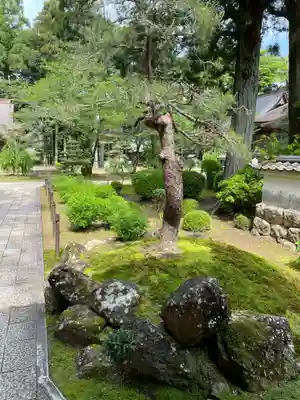 國分寺(高知県)