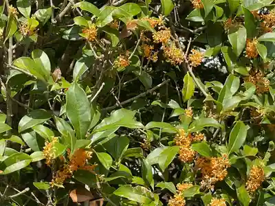 伊勢の国 四天王寺(三重県)
