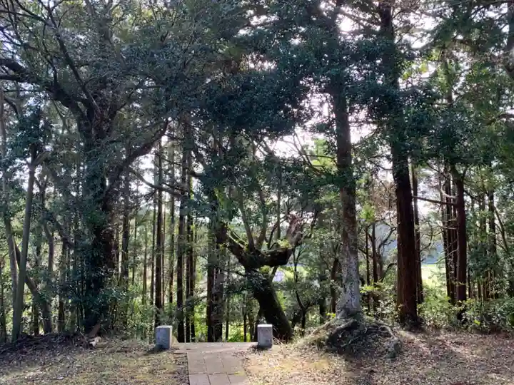 高谷神社の自然