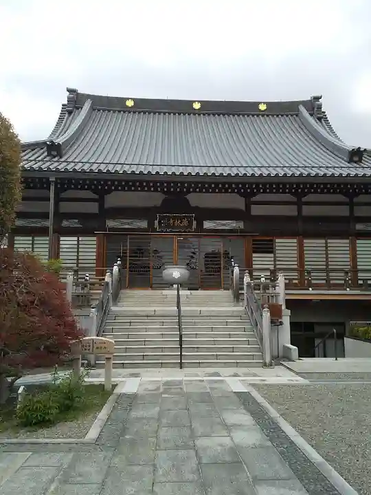 徳林寺の本殿・本堂