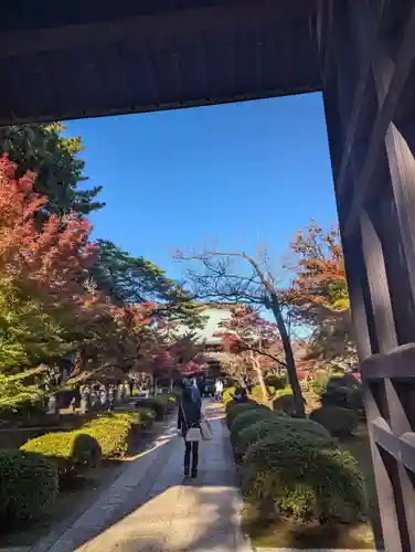 豪徳寺(東京都)