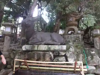 春日大社(奈良県)