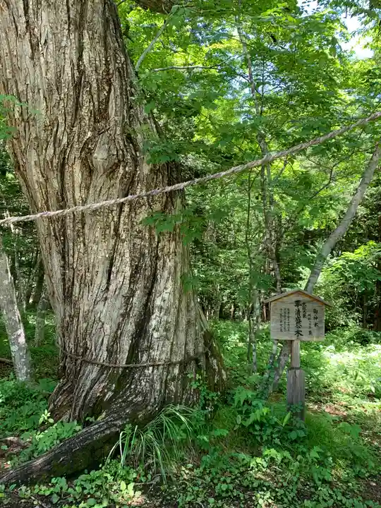 高房神社 上社(栃木県)