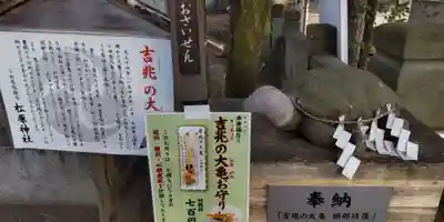 松原神社(神奈川県)