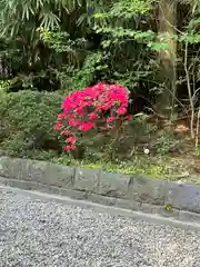 大崎八幡宮(宮城県)