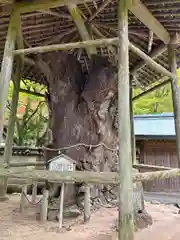 根香寺(香川県)