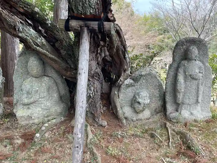 大覚寺(京都府)