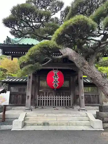 長谷寺(神奈川県)