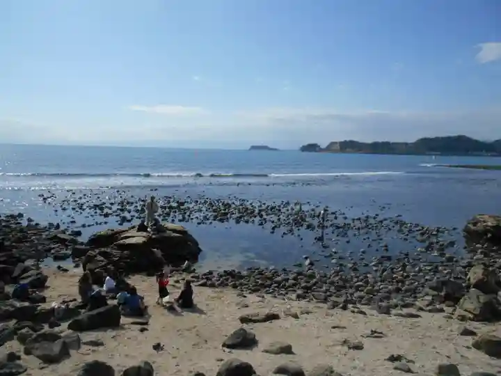 白髭社(飯島白髭社)の自然