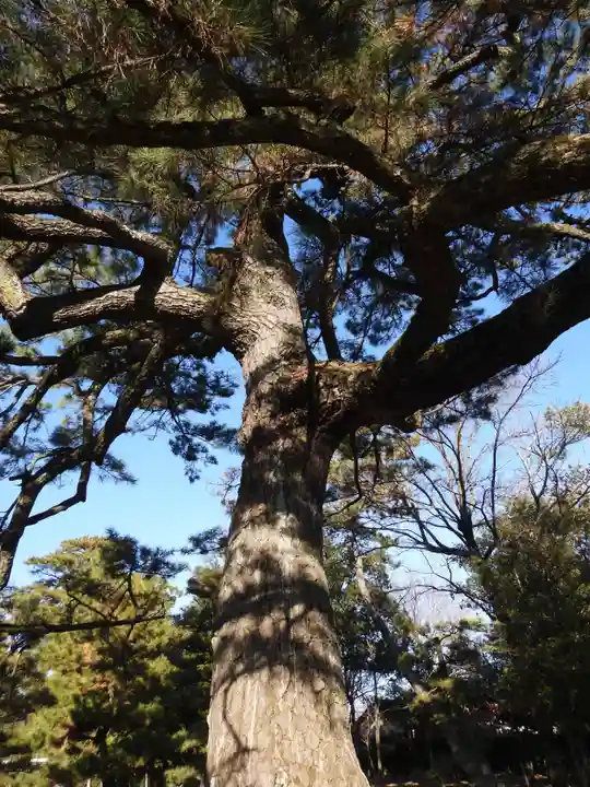 実相寺(愛知県)