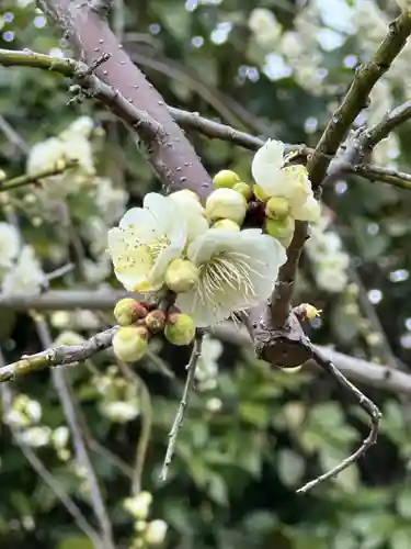 元興寺(奈良県)