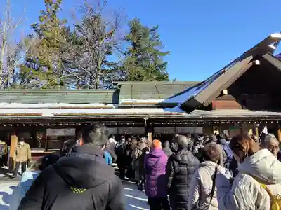 北海道神宮の初詣
