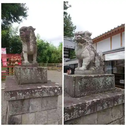 眞田神社の狛犬