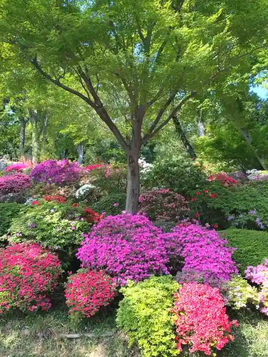 等覚院(神奈川県)
