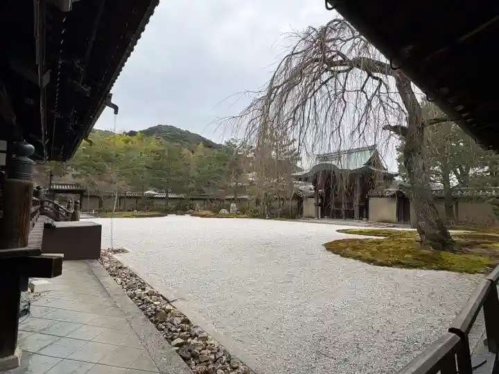 高台寺(高台寿聖禅寺・高臺寺)の{uncategorized: "未分類", other: "その他", undefined: "問題あり", building: "その他建物", grave: "お墓", sacred_gate: "鳥居", guardian: "狛犬", statue: "像", buddha: "仏像", history: "歴史", nature: "自然", garden: "庭園", animal: "動物", pagoda: "塔", temizu: "手水舎", mountain_gate: "山門・神門", sanctuary: "本殿・本堂", subordinate: "末社・摂社", art: "芸術", scenery: "景色", jizo: "地蔵", ema: "絵馬", goshuin: "御朱印", omikuji: "おみくじ", items: "授与品その他", amulet: "お守り", goshuincho: "御朱印帳", eats: "食事", festival: "お祭り", votive_dance: "神楽", shichigosan: "七五三参", wedding: "結婚式", experience: "体験その他", initially: "初詣", around: "周辺", anti_infection: "感染症対策"}