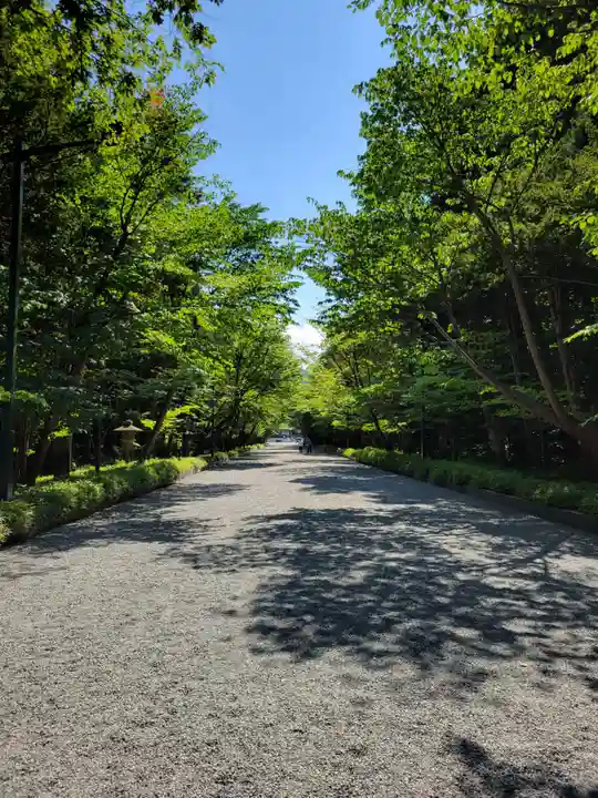 北海道神宮の景色