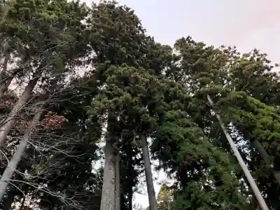 大宮温泉神社(栃木県)