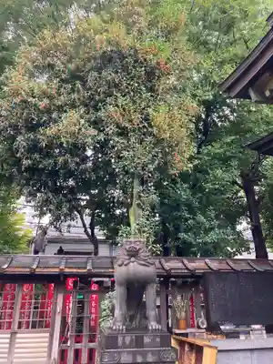 下谷神社の狛犬