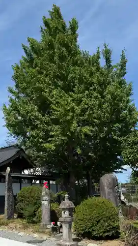 長源寺(宮城県)