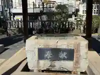 柏神社の{uncategorized: "未分類", other: "その他", undefined: "問題あり", building: "その他建物", grave: "お墓", sacred_gate: "鳥居", guardian: "狛犬", statue: "像", buddha: "仏像", history: "歴史", nature: "自然", garden: "庭園", animal: "動物", pagoda: "塔", temizu: "手水舎", mountain_gate: "山門・神門", sanctuary: "本殿・本堂", subordinate: "末社・摂社", art: "芸術", scenery: "景色", jizo: "地蔵", ema: "絵馬", goshuin: "御朱印", omikuji: "おみくじ", items: "授与品その他", amulet: "お守り", goshuincho: "御朱印帳", eats: "食事", festival: "お祭り", votive_dance: "神楽", shichigosan: "七五三参", wedding: "結婚式", experience: "体験その他", initially: "初詣", around: "周辺", anti_infection: "感染症対策"}