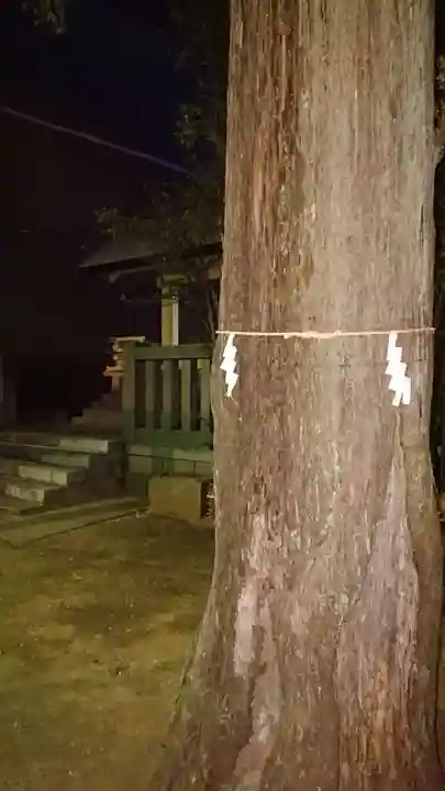 嶺天祖神社の自然