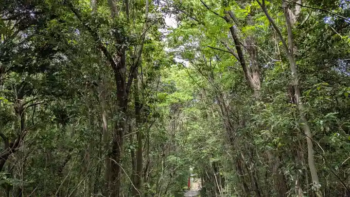 護皇神社の自然
