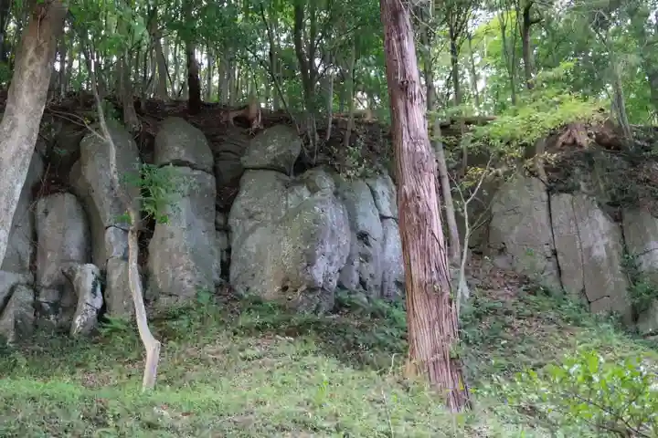 八幡神社(岩窪切岸城址)の自然