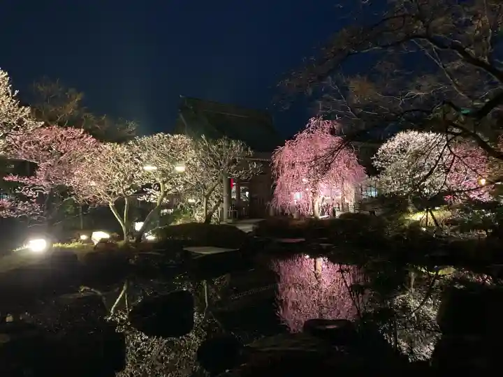 長谷寺の{uncategorized: "未分類", other: "その他", undefined: "問題あり", building: "その他建物", grave: "お墓", sacred_gate: "鳥居", guardian: "狛犬", statue: "像", buddha: "仏像", history: "歴史", nature: "自然", garden: "庭園", animal: "動物", pagoda: "塔", temizu: "手水舎", mountain_gate: "山門・神門", sanctuary: "本殿・本堂", subordinate: "末社・摂社", art: "芸術", scenery: "景色", jizo: "地蔵", ema: "絵馬", goshuin: "御朱印", omikuji: "おみくじ", items: "授与品その他", amulet: "お守り", goshuincho: "御朱印帳", eats: "食事", festival: "お祭り", votive_dance: "神楽", shichigosan: "七五三参", wedding: "結婚式", experience: "体験その他", initially: "初詣", around: "周辺", anti_infection: "感染症対策"}