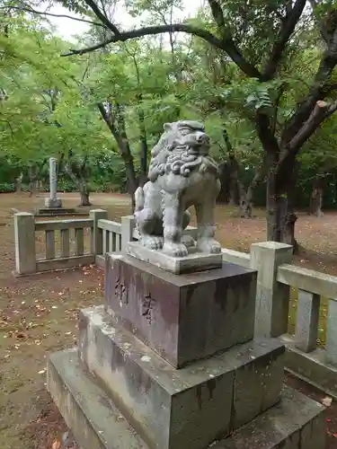 岩内神社の狛犬