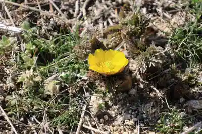 長屋神社の自然