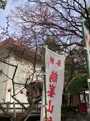 平塚八幡宮(神奈川県)