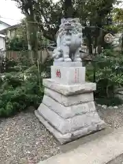 菊田神社の狛犬