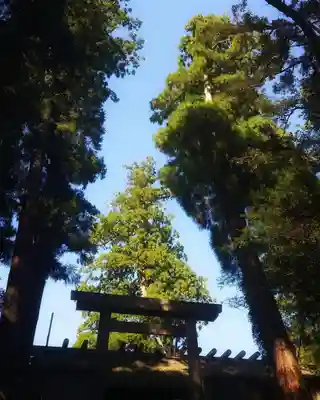 伊勢神宮内宮(皇大神宮)の鳥居