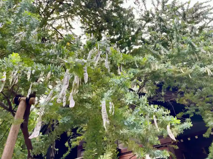 蔵前神社(東京都)