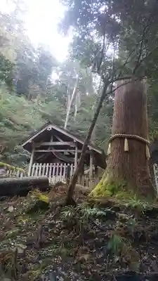鞍馬寺(京都府)