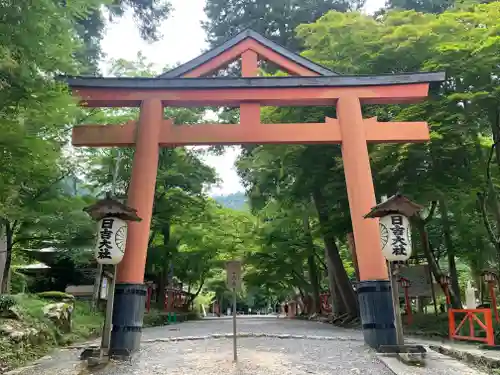 日吉大社の鳥居