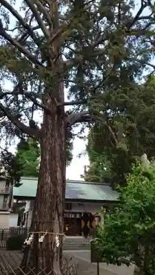 下神明天祖神社(東京都)