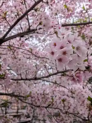 東光寺(東京都)
