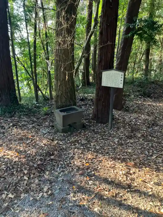 高尾神社の{uncategorized: "未分類", other: "その他", undefined: "問題あり", building: "その他建物", grave: "お墓", sacred_gate: "鳥居", guardian: "狛犬", statue: "像", buddha: "仏像", history: "歴史", nature: "自然", garden: "庭園", animal: "動物", pagoda: "塔", temizu: "手水舎", mountain_gate: "山門・神門", sanctuary: "本殿・本堂", subordinate: "末社・摂社", art: "芸術", scenery: "景色", jizo: "地蔵", ema: "絵馬", goshuin: "御朱印", omikuji: "おみくじ", items: "授与品その他", amulet: "お守り", goshuincho: "御朱印帳", eats: "食事", festival: "お祭り", votive_dance: "神楽", shichigosan: "七五三参", wedding: "結婚式", experience: "体験その他", initially: "初詣", around: "周辺", anti_infection: "感染症対策"}
