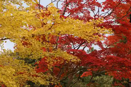 山津見神社の庭園